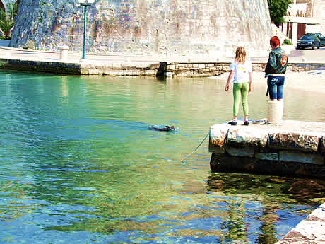 Korcula